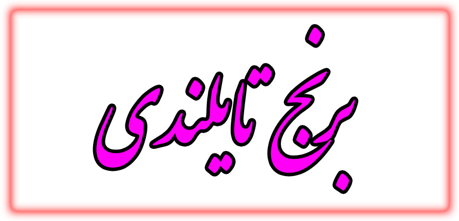 برنج تایلندی